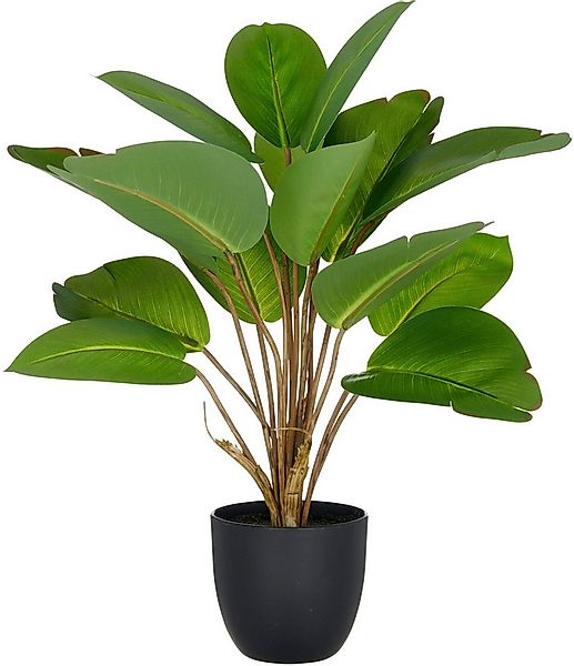 Kunstpflanze Philodendron, Creativ green, Höhe 45 cm, mit naturgetreuem Bla günstig online kaufen