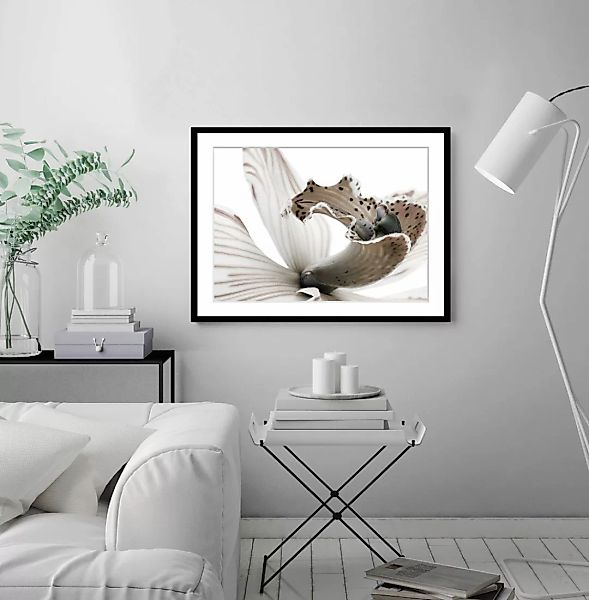 queence Bild "Herkules", Blumen-Blumenbilder-Pflanzenbilder-Foto-Kunst günstig online kaufen