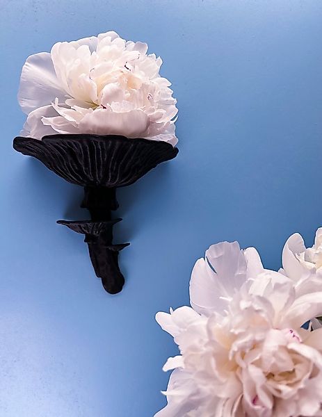 Roomberry Deko-Wandregal Amanitapilz Wandregal, Hergestellt in Deutschland günstig online kaufen