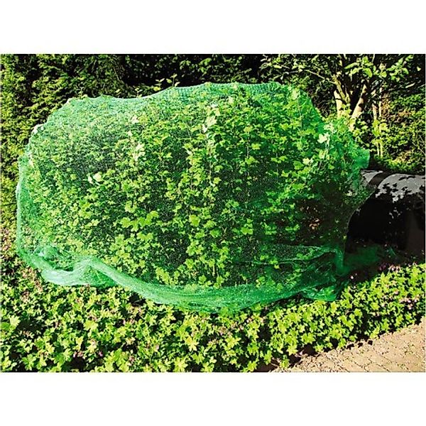 BURI Schutznetz Vogelschutznetz 5x4m grün Teichnetz günstig online kaufen