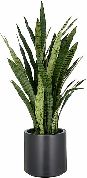 Creativ green Kunstpflanze "Sansevieria zeylanica", im eleganten Topf günstig online kaufen