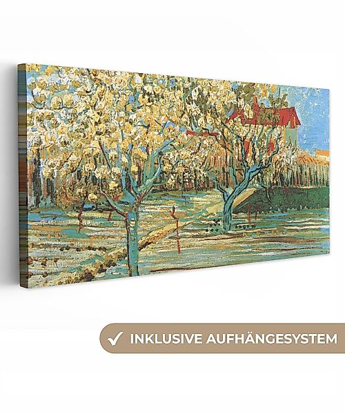 OneMillionCanvasses® Leinwandbild Panorama Blühender Obstgarten - günstig online kaufen