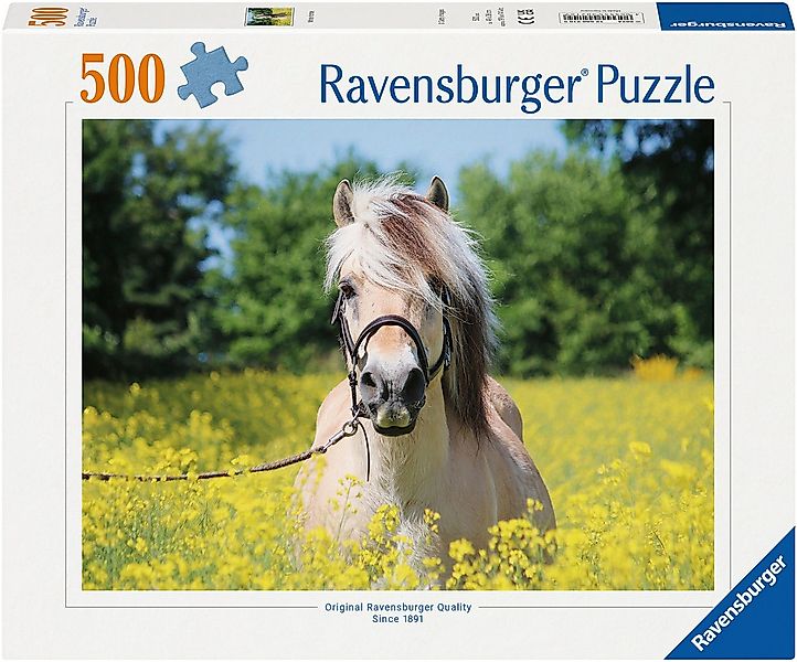 Ravensburger Puzzle Pferd im Rapsfeld, 500 Puzzleteile, Made in Germany günstig online kaufen