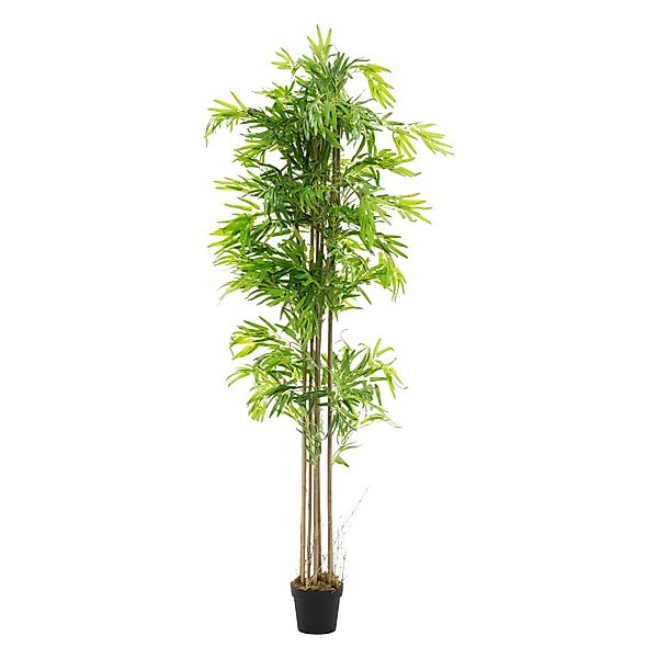 ML-Design Künstlicher Bambus 210cm Groß Kunstpflanze mit Echtholzstamm günstig online kaufen