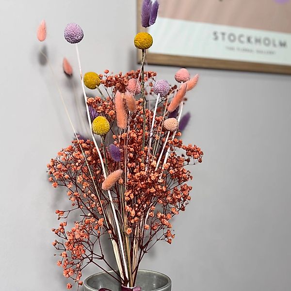 Lykke&You Craspedia Dream Trockenblumenstrauß in Sanften Frühlingsfarben günstig online kaufen