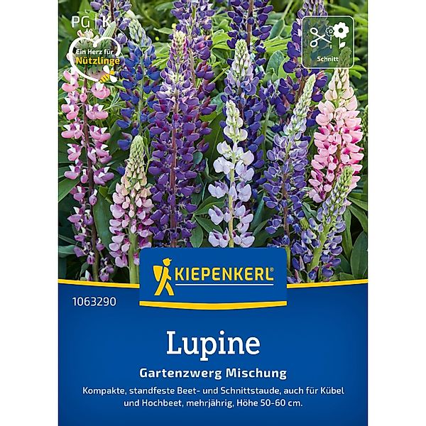 Kiepenkerl Lupine Garten-zwerg Lupinus polyphyllus günstig online kaufen