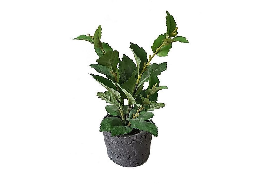 Kunstblume Grünpflanze im Topf Kunstpflanze Flora unbekannt, HTI-Living, Hö günstig online kaufen