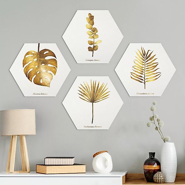 4-teiliges Hexagon-Alu-Dibond Bild Gold - Tropische Blätter Set II günstig online kaufen