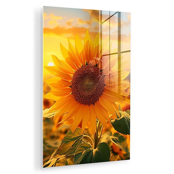 MuchoWow Acrylglasbild Sonnenblume - Blumen - günstig online kaufen