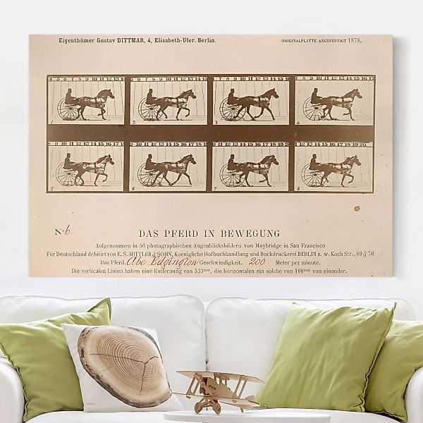 Leinwandbild Kunstdruck - Querformat Eadweard Muybridge - Das Pferd in Bewe günstig online kaufen