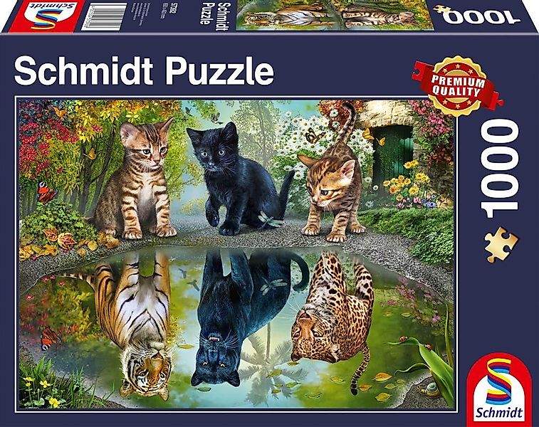 Schmidt Spiele Puzzle 1000 Teile Schmidt Spiele Puzzle Dream Big! 57392, 10 günstig online kaufen