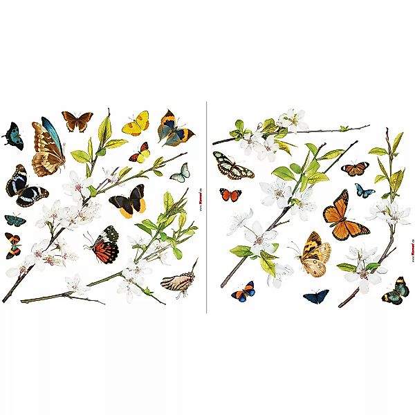 Komar Fensterbild Schmetterlinge, 31x31 cm, selbsthaftend günstig online kaufen