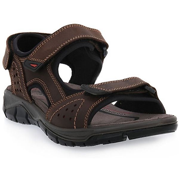 Imac  Sandalen EVEREST MORO günstig online kaufen