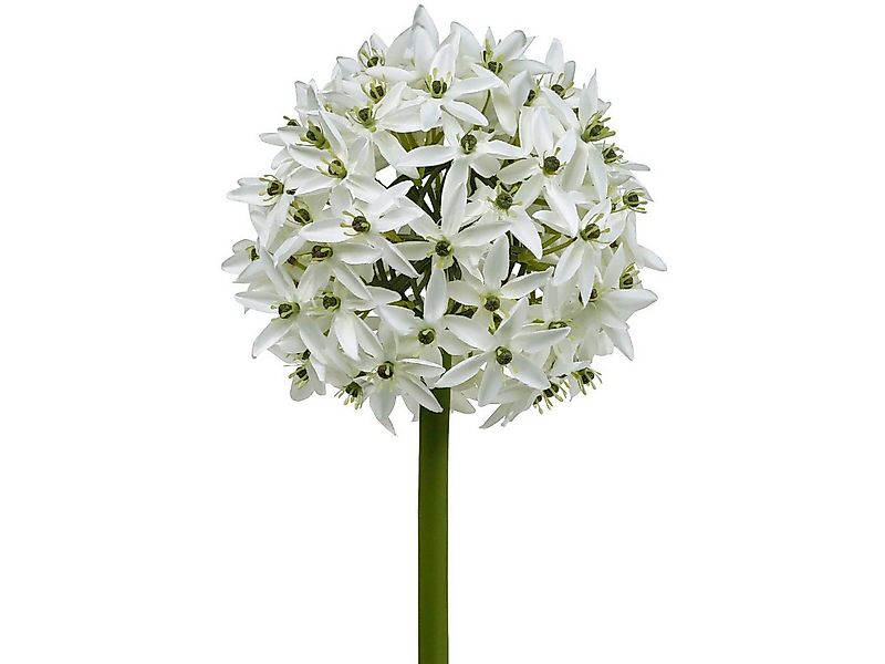 Kunstblume Deko-Blume Allium Weiß Ø20cm Zierlauch künstlich 72cm Kunstpflan günstig online kaufen