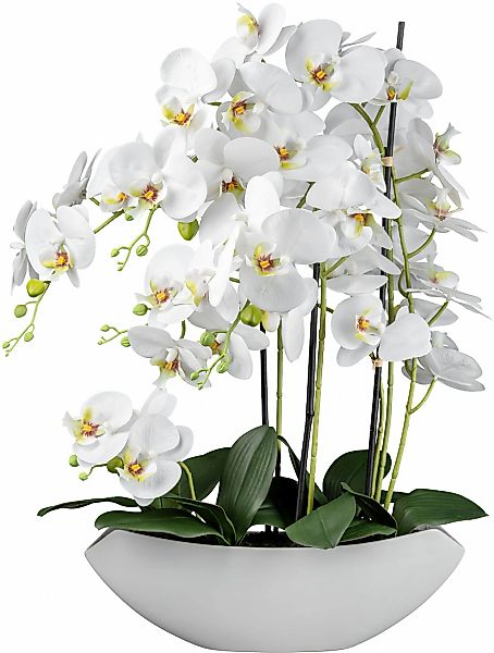 Creativ green Kunstorchidee "Orchidee Phalaenopsis", mit real-touch-Blüten günstig online kaufen