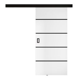 MIRJAN24 Schiebetür Werdi Plus (Tür universell günstig online kaufen