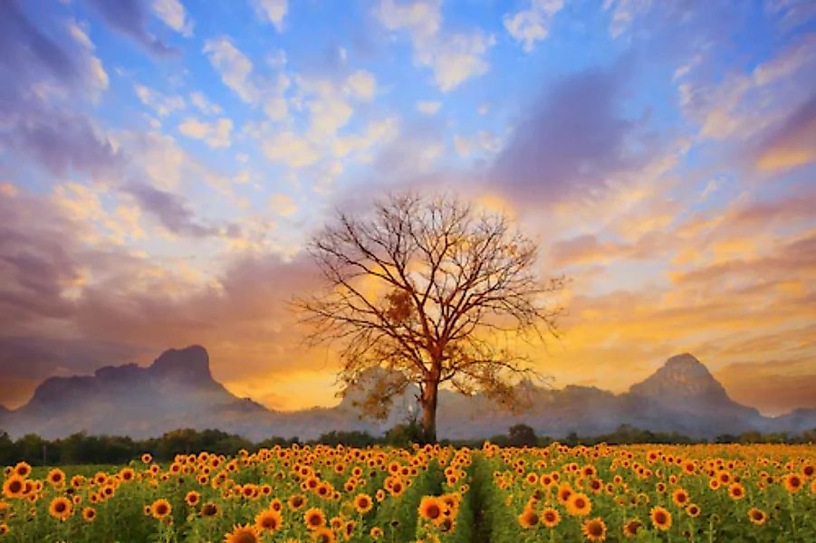 Papermoon Fototapete »Sonnenblumenlandschaft« günstig online kaufen