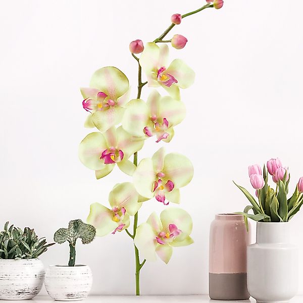 Wandtattoo Blumen No.190 Orchidee Weiß II günstig online kaufen
