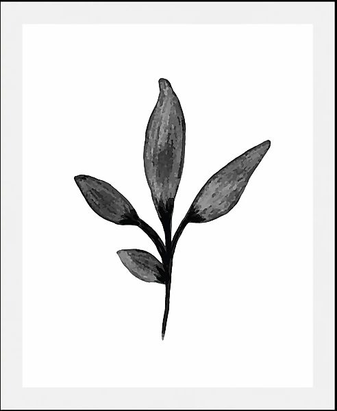 queence Bild "Hille" Art  Blumen  Kunst  Pflanzen  Pflanzenbilder  Schwarz- günstig online kaufen