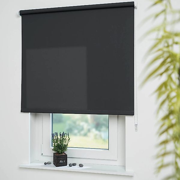 Liedeco Seitenzugrollo "Uni" Lichtschutz mit Bohren freihängend Montage ohn günstig online kaufen
