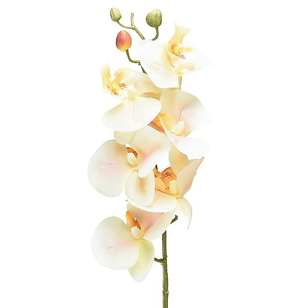 Kunstorchidee Künstliche Orchidee Creme Orange 78cm günstig online kaufen