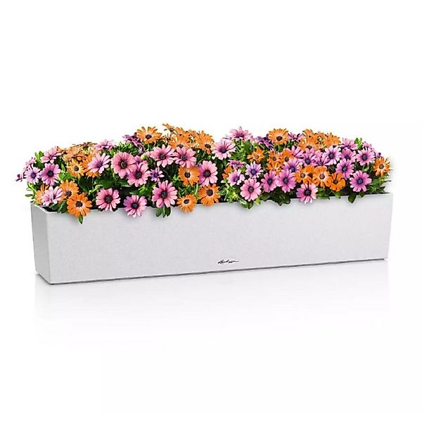 Lechuza® Balkonkasten BALCONERA Stone 100 quarzweiß günstig online kaufen