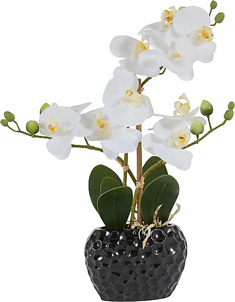 Leonique Kunstpflanze "Orchidee", Kunstorchidee, im Topf, Bestseller, über günstig online kaufen