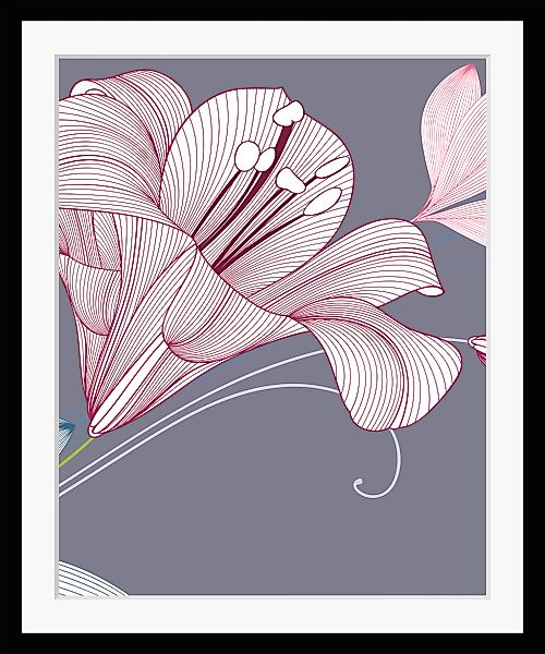 queence Bild "Alma", Blumen, (Set), Blumen, gerahmt günstig online kaufen