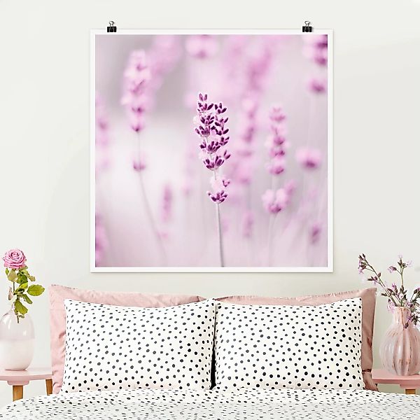 Poster Zartvioletter Lavendel günstig online kaufen