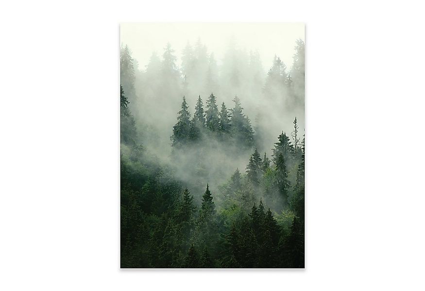Wallarena Poster Wald Natur Grün Wohnzimmer Schlafzimmer Kunstdruck Wandbil günstig online kaufen