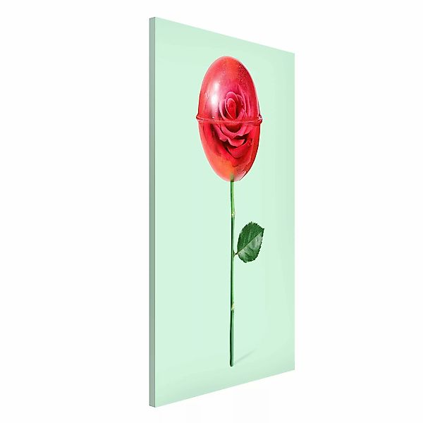 Magnettafel - Hochformat 3:4 Rose mit Lollipop günstig online kaufen