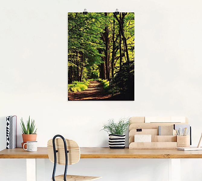 Artland Wandbild »Weg im Wald«, Wald, (1 St.), als Alubild, Outdoorbild, Le günstig online kaufen