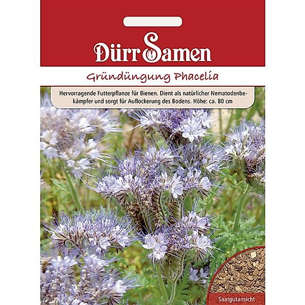 Dürr Samen Gründüngung Phacelia/Bienenfreund 400 G Saatgut günstig online kaufen
