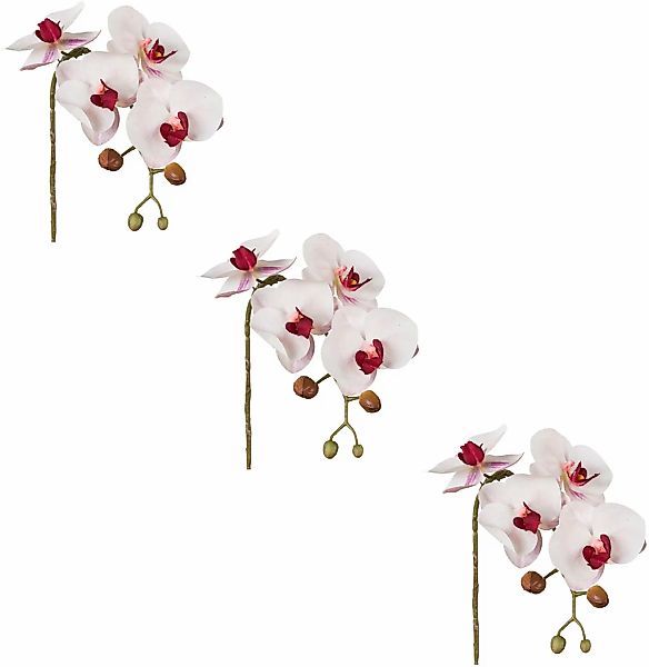Creativ green Kunstblume "Phalaenopsis 3D-print", mit Real-Touch-Blüten günstig online kaufen
