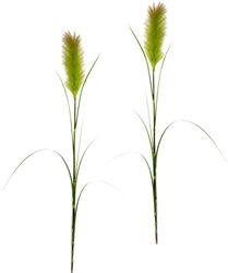 I.GE.A. Kunstpflanze "Pampas" Pampasgras, Boho, 2er Set günstig online kaufen