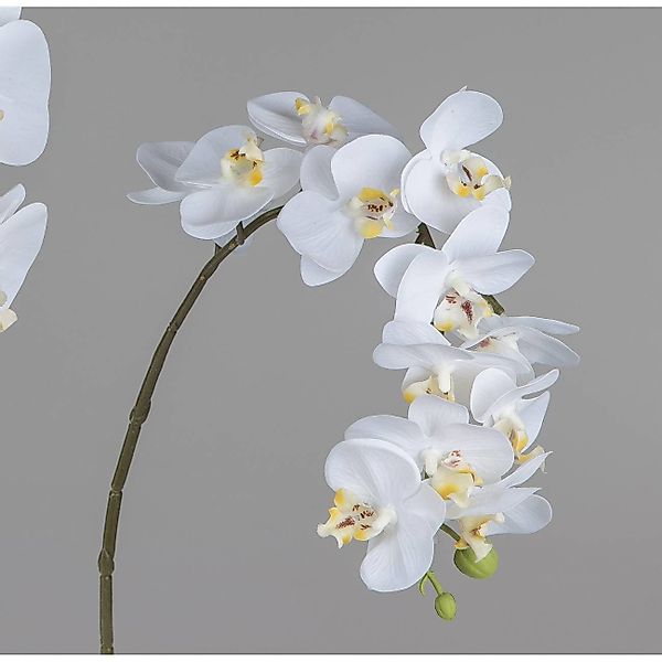 Kunstblume, formano, Höhe 56 cm günstig online kaufen