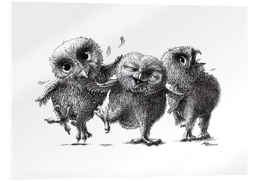 Posterlounge Wandbild Drei verrückte Eulen, Stefan günstig online kaufen