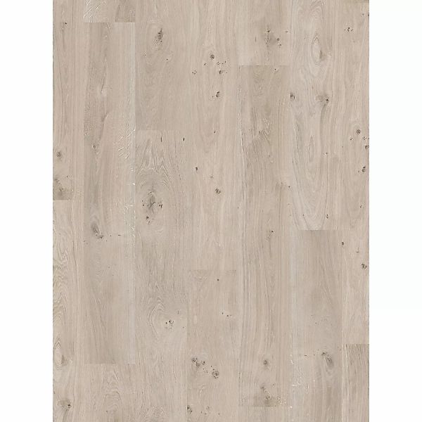 Parador Basic 200 Laminat 7 mm Wasserfest Eiche Natur Grau günstig online kaufen
