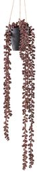Creativ green Kunstranke "Hängepflanze Sedum" mit rotbrauner Farbgebung günstig online kaufen