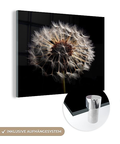 MuchoWow Acrylglasbild Blumen - Natur - günstig online kaufen