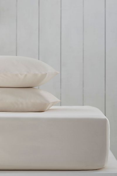 Next Bettlaken Spannbettlaken mit Baumwolle für günstig online kaufen