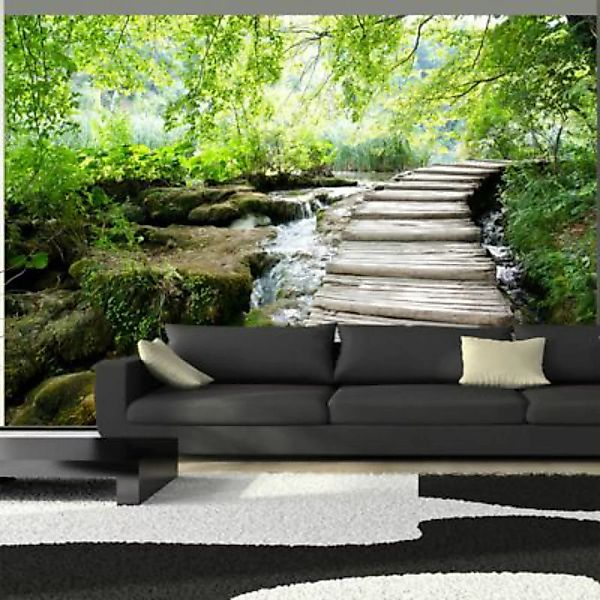 artgeist Fototapete Pfad im Wald mehrfarbig Gr. 400 x 280 günstig online kaufen