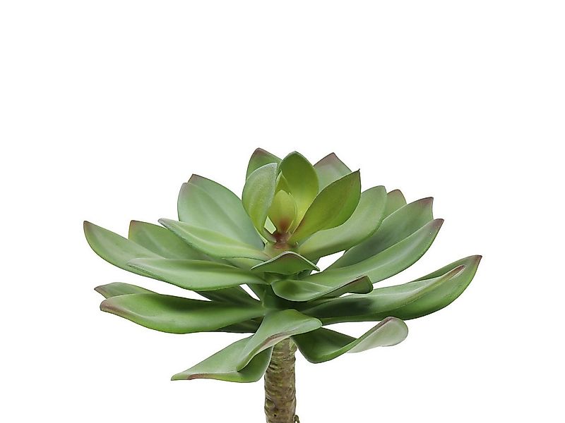 Kunstkaktus Künstliche Sukkulente Grün 27 cm - Pflegeleichte Dekopflanze fü günstig online kaufen