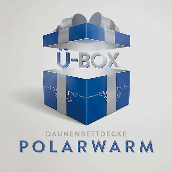 Excellent Daunenbettdecke »Überraschungsbox«, polarwarm, Füllung 90% Daunen günstig online kaufen