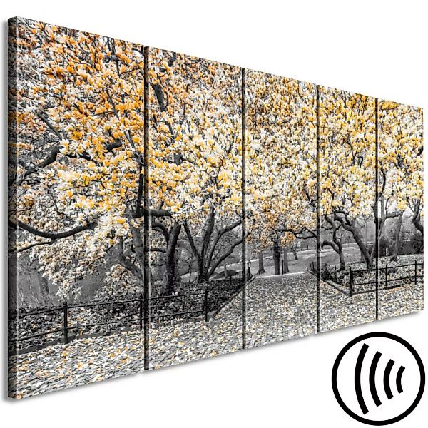 Leinwandbild Blühender Magnolienbaum - Schwarz-Weiß-Fotografie mit gelben A günstig online kaufen