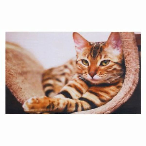HTI-Living Fußmatte 45x75 cm Gallery Cat bunt Gr. 45 x 45 günstig online kaufen