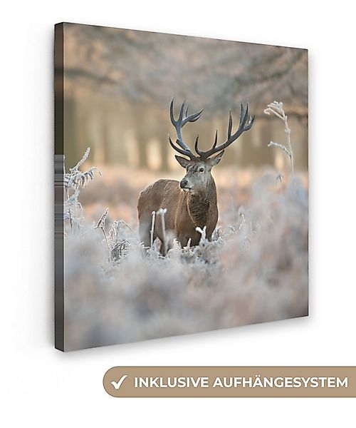 OneMillionCanvasses® Leinwandbild Hirsche - Tiere - Winter, Fotodruck (1 St günstig online kaufen