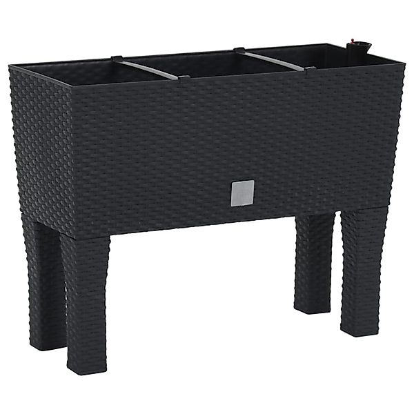 vidaXL Hochbeet Anthrazit 60x25x46 cm PP-Rattan 1257327 günstig online kaufen