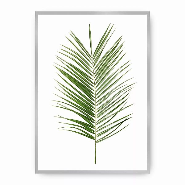 Poster Palm Leaf Green, 50 x 70 cm, Rahmen wählen: silber günstig online kaufen