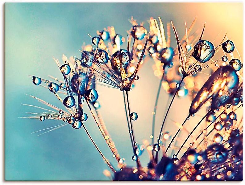 Artland Wandbild "Pusteblume Glitzertau" Blumen 1 Stk. tlg. als Leinwandbil günstig online kaufen